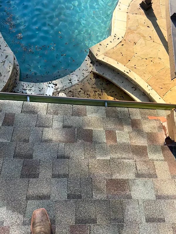A roof and gutter line beside a swimming pool being cleared